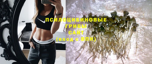 винт Елабуга