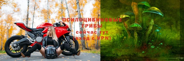 винт Елабуга