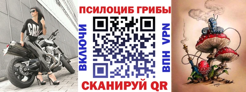 закладки  Зерноград  это Telegram  Галлюциногенные грибы Cubensis 