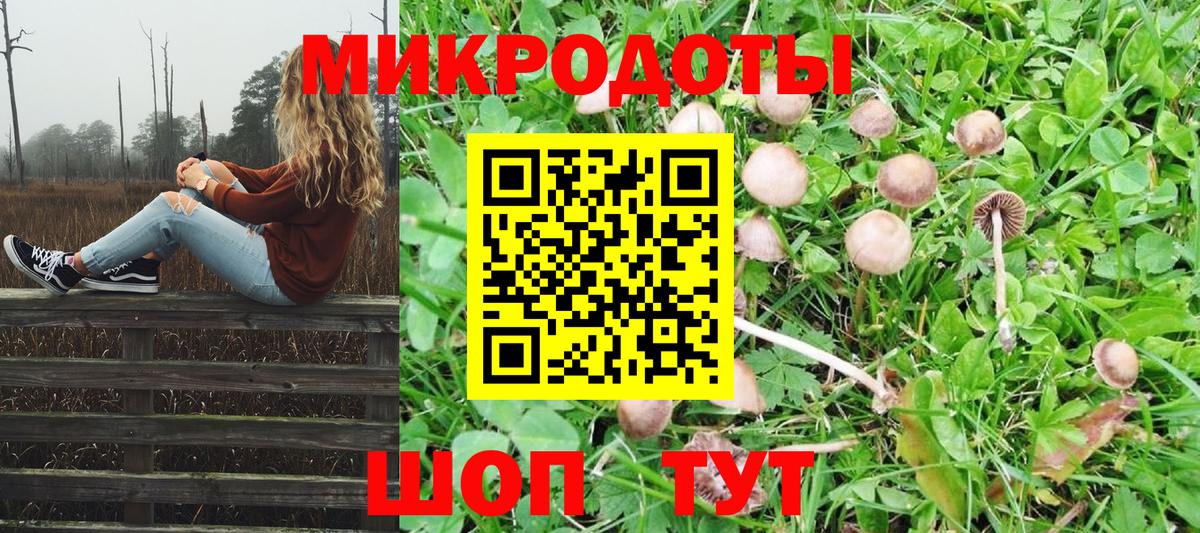 Зерноград  Псилоцибиновые грибы Psilocybine cubensis  Вход с VPN 